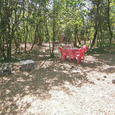 Emplacement Tente Camping Car Saint-Aubin-de-Nabirat المظهر الخارجي الصورة