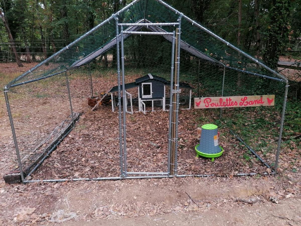 Emplacement Tente Camping Car Saint-Aubin-de-Nabirat المظهر الخارجي الصورة